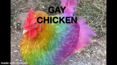 what is gay chicken|Gay Chicken Definition & Meaning .